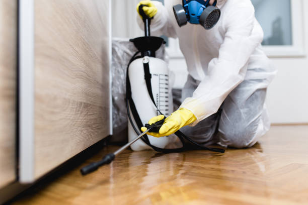 Best Best Pest Control Near Me  in Asheboro, NC
