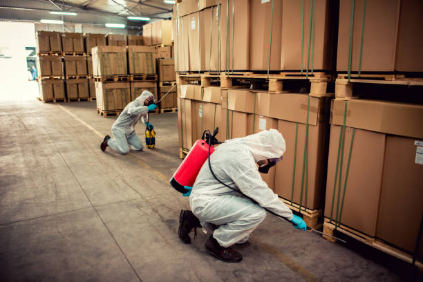 Best Termite Control Services  in Asheboro, NC
