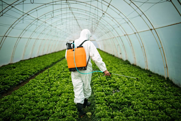 Best Pest Control Near Me in Asheboro, NC