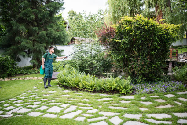Best Pest Removal Services  in Asheboro, NC