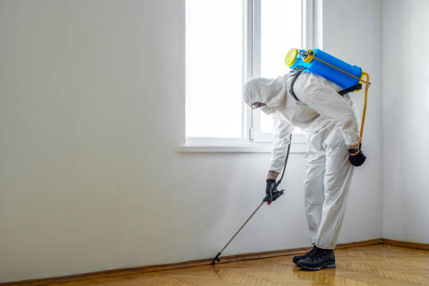 Best Wasp Removal Services  in Asheboro, NC