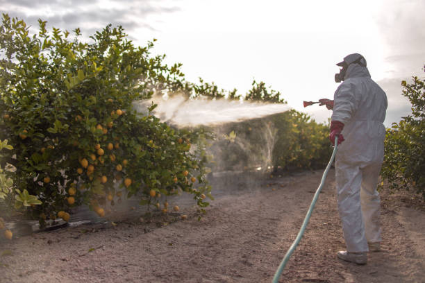Professional Pest Control in Asheboro, NC