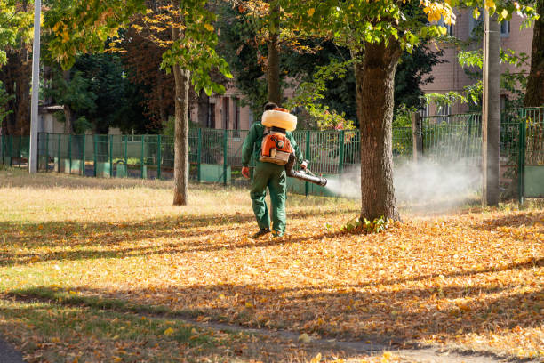 Best Pest Control Near Me  in Asheboro, NC