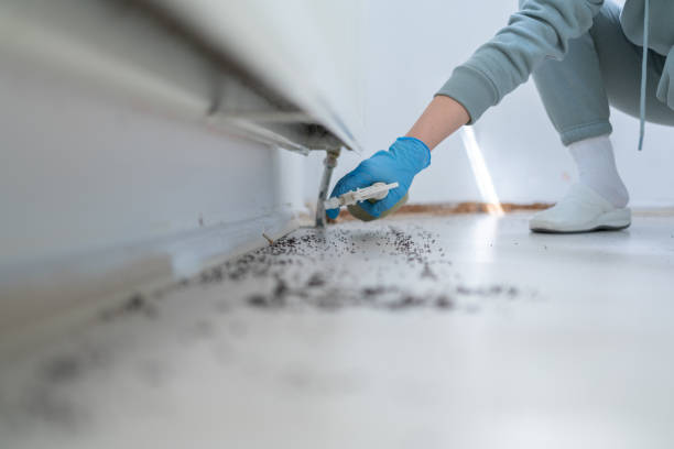 Best Pest Prevention Services  in Asheboro, NC