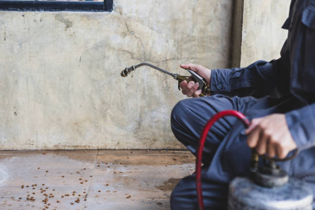 Best Pest Removal Services  in Asheboro, NC