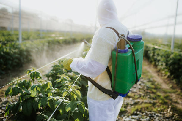 Best Pest Inspection Near Me  in Asheboro, NC